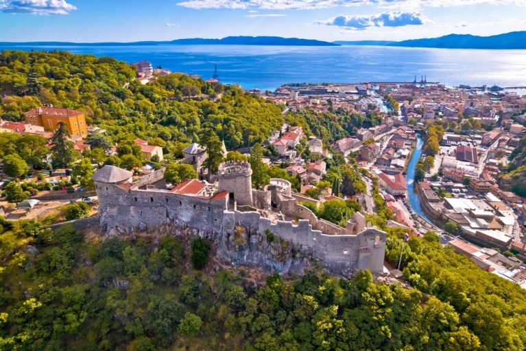 An aerial view of a castle in a forest, with an ocean and town in the background